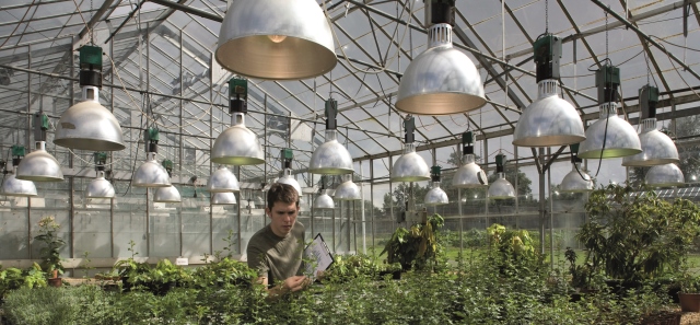 Student working in a greenhouse