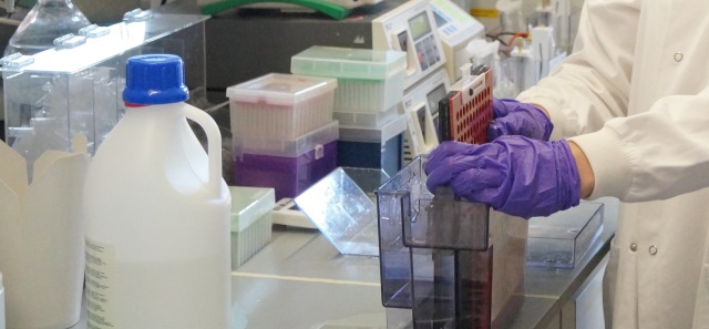 Pharmacist carrying out an experiment in a laboratory