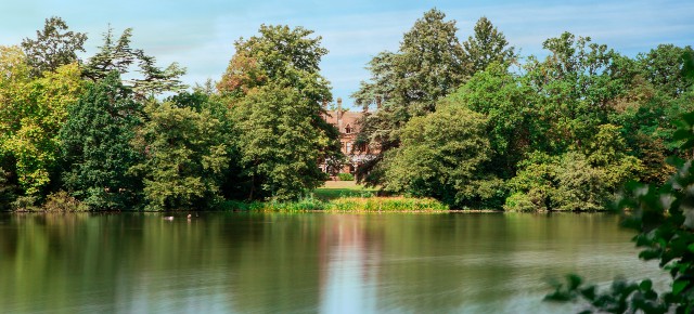 Whiteknights lake