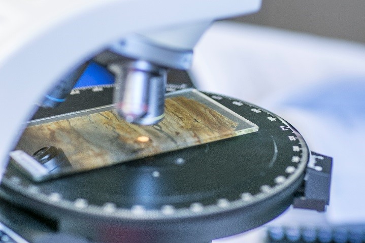 Archaeological science facilities