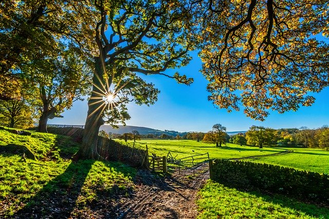 A farm in yorkshire