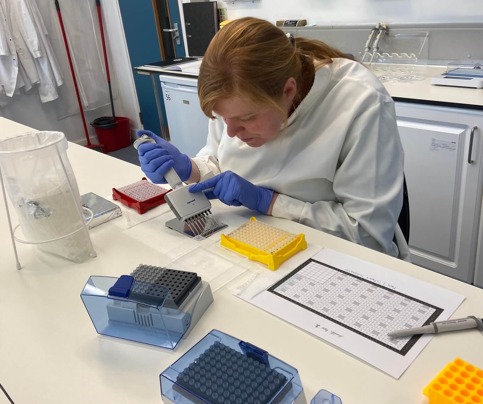Person working in archaeological proteomics lab