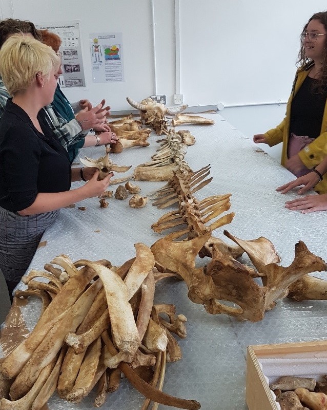 Archaeology research facilities at Reading